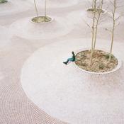 Piranesi Mention 2025: Piazza Cortevecchia, Ferrara, Italy